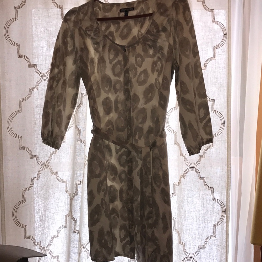 Express Button Down 3/4 Sleeve shift dress